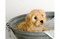 カレンダー画像 5