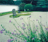 カレンダー画像 14