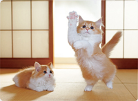 カレンダー画像 8