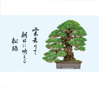 カレンダー画像 5