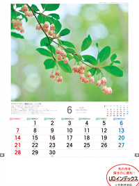 カレンダー画像 2