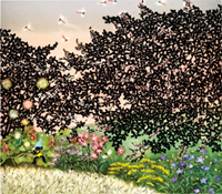 カレンダー画像 6