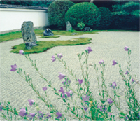 カレンダー画像 3
