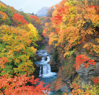 カレンダー画像 7