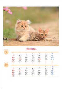 カレンダー画像 5